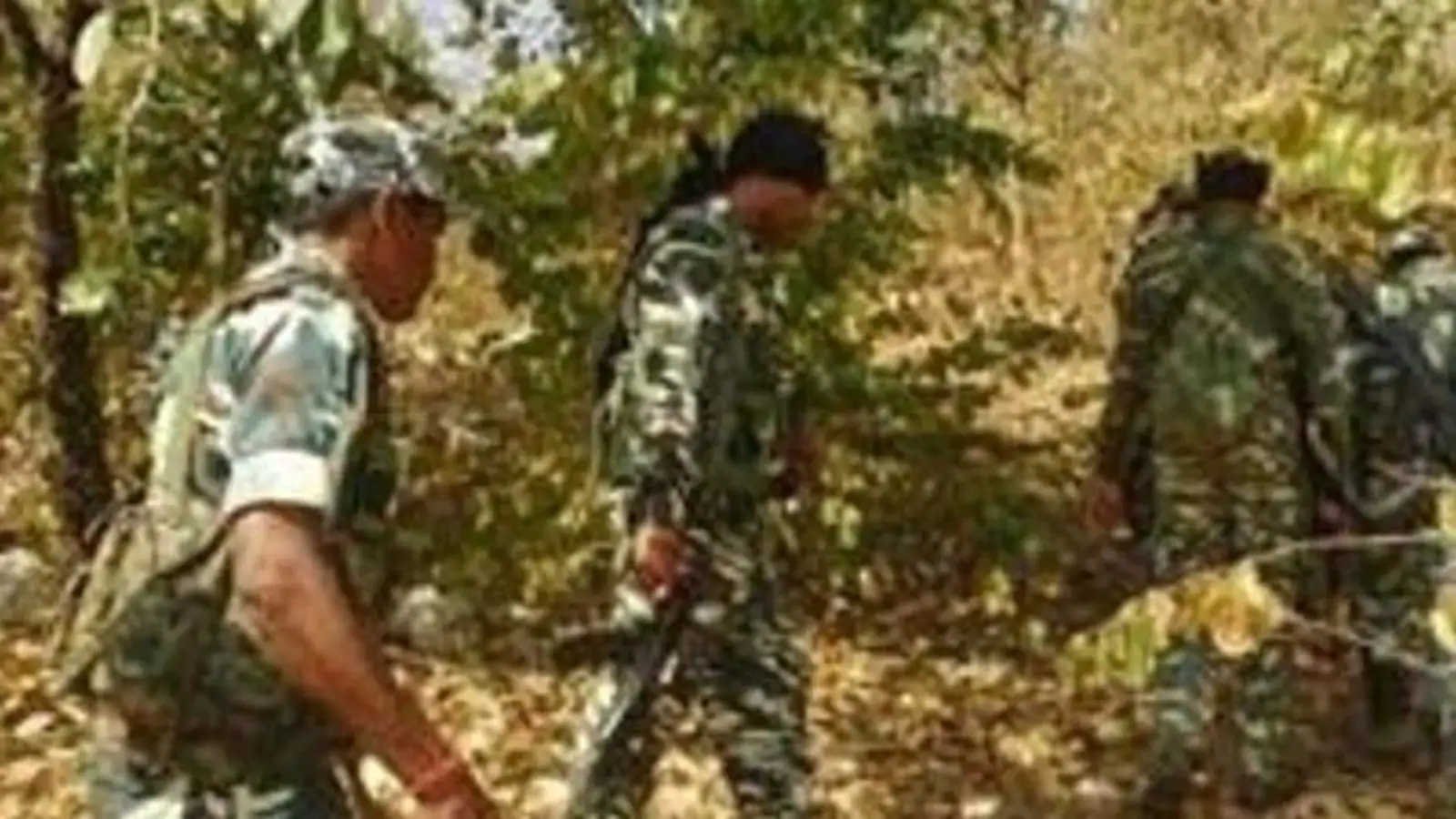 Afternoon brief: Maoist platoon commander with ₹3L bounty killed in encounter in Chhattisgarh and all the latest news