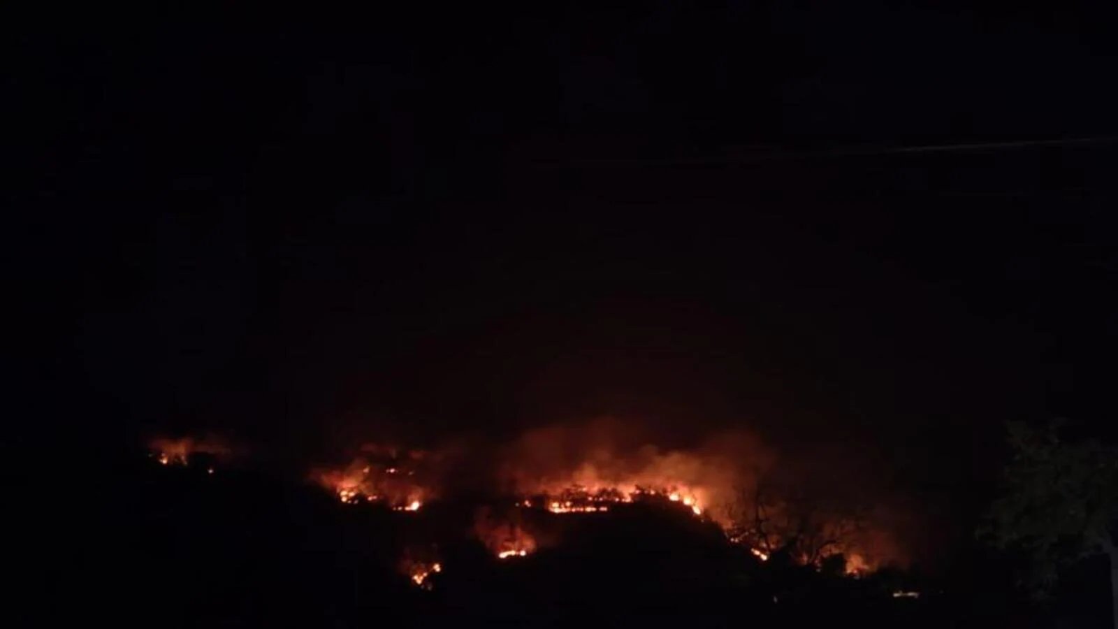 Chhattisgarh: 8,022 forest fires in last 45 days; several questions raised