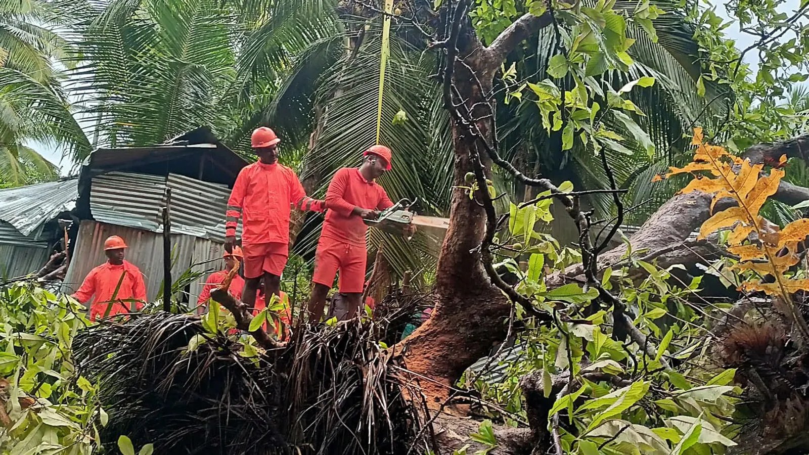 Cyclone Asani: Heavy rain, wind alert in Andaman & Nicobar – 10 updates