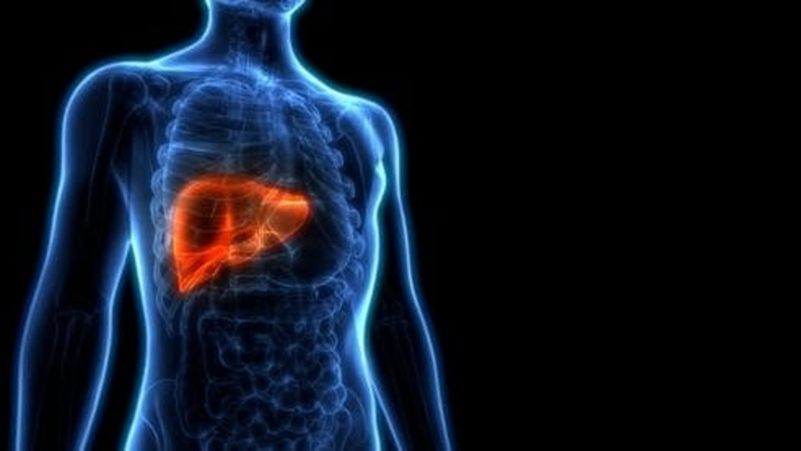 Study examines how chronic liver injury causes bone loss