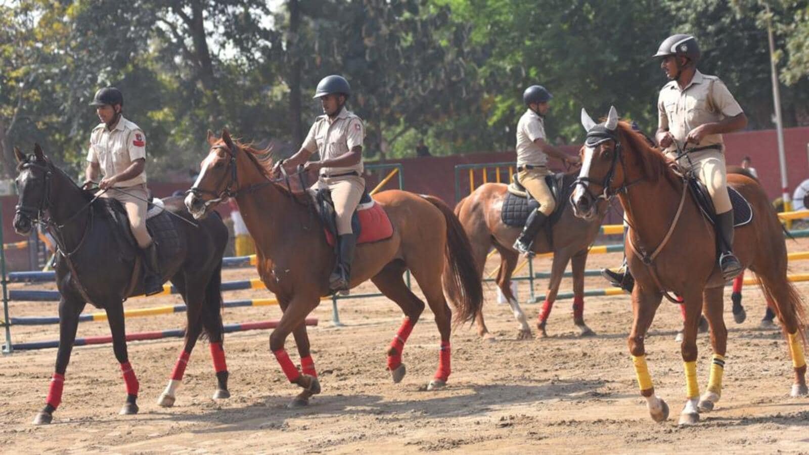 Horse riding school inaugurated at police lines in Chandigarh, now open to civilians too
