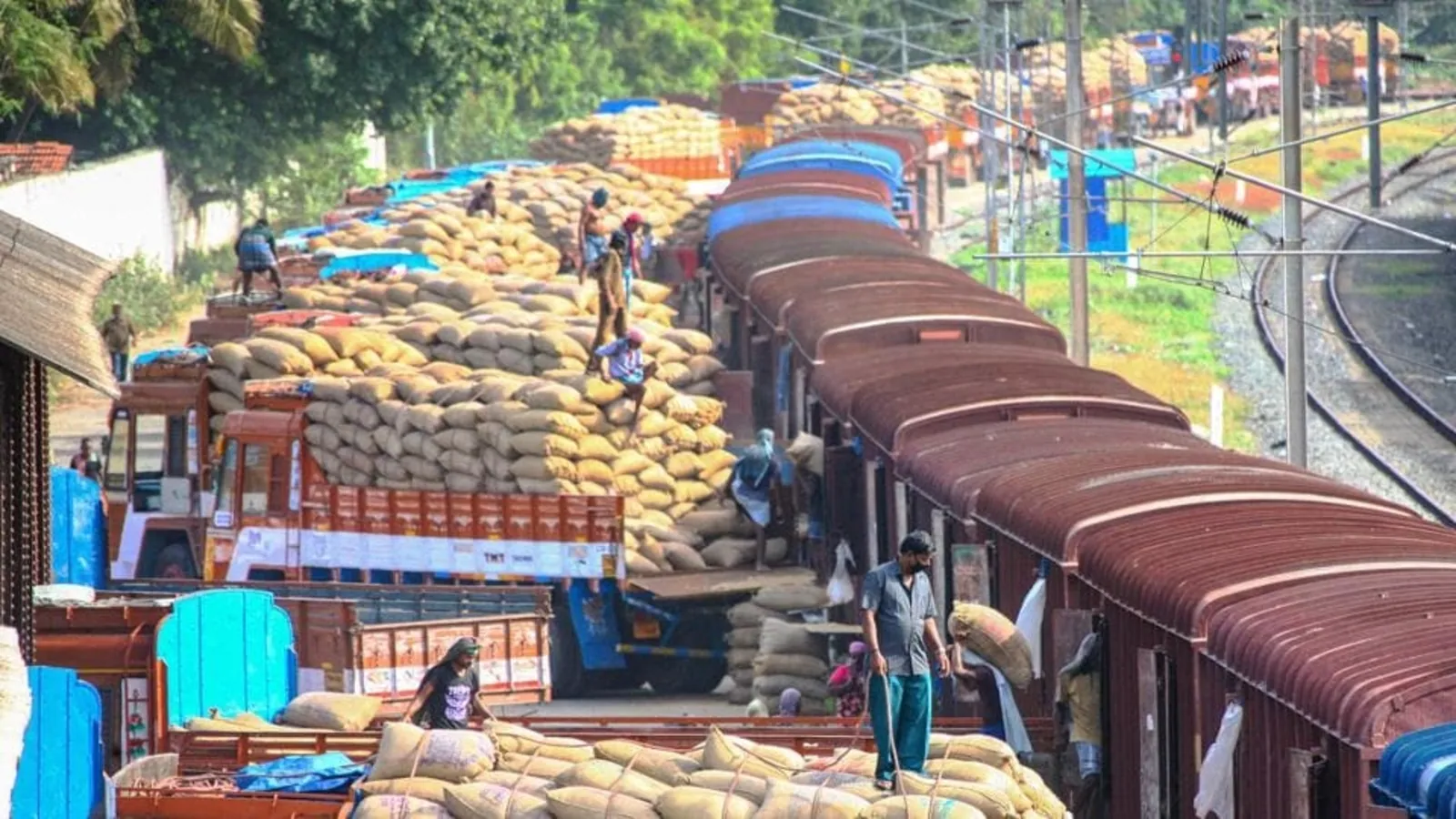 India gets opportunity to export wheat but risks remain