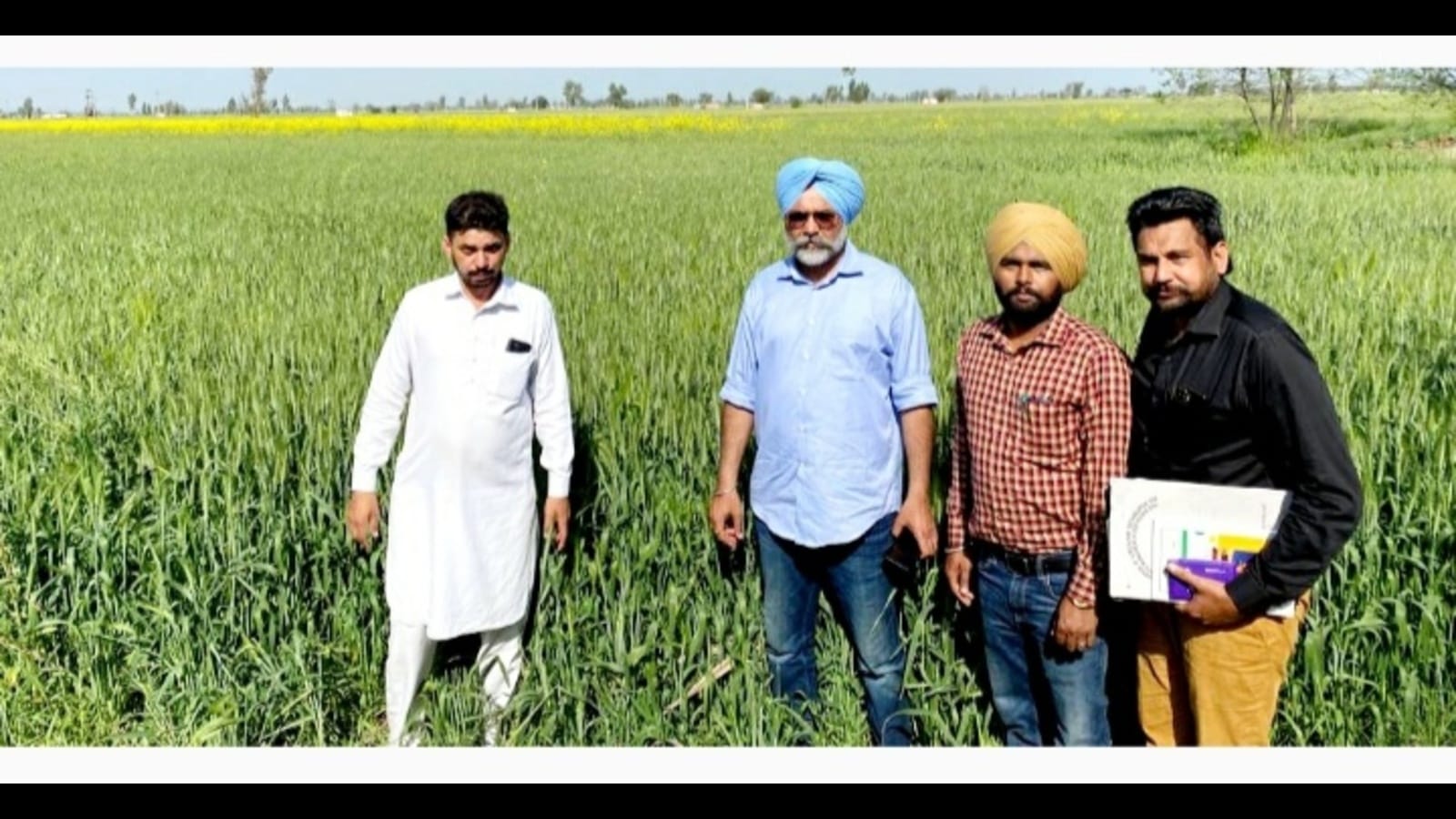 Rise in temperature: Farmers must go for light irrigation, caution experts