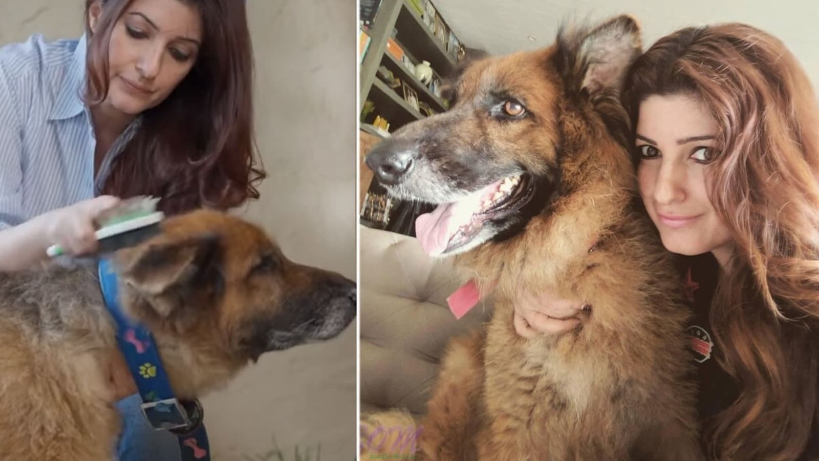 Twinkle Khanna loses pet dog Cleo, says her heart feels ‘heavy and empty’ at same time