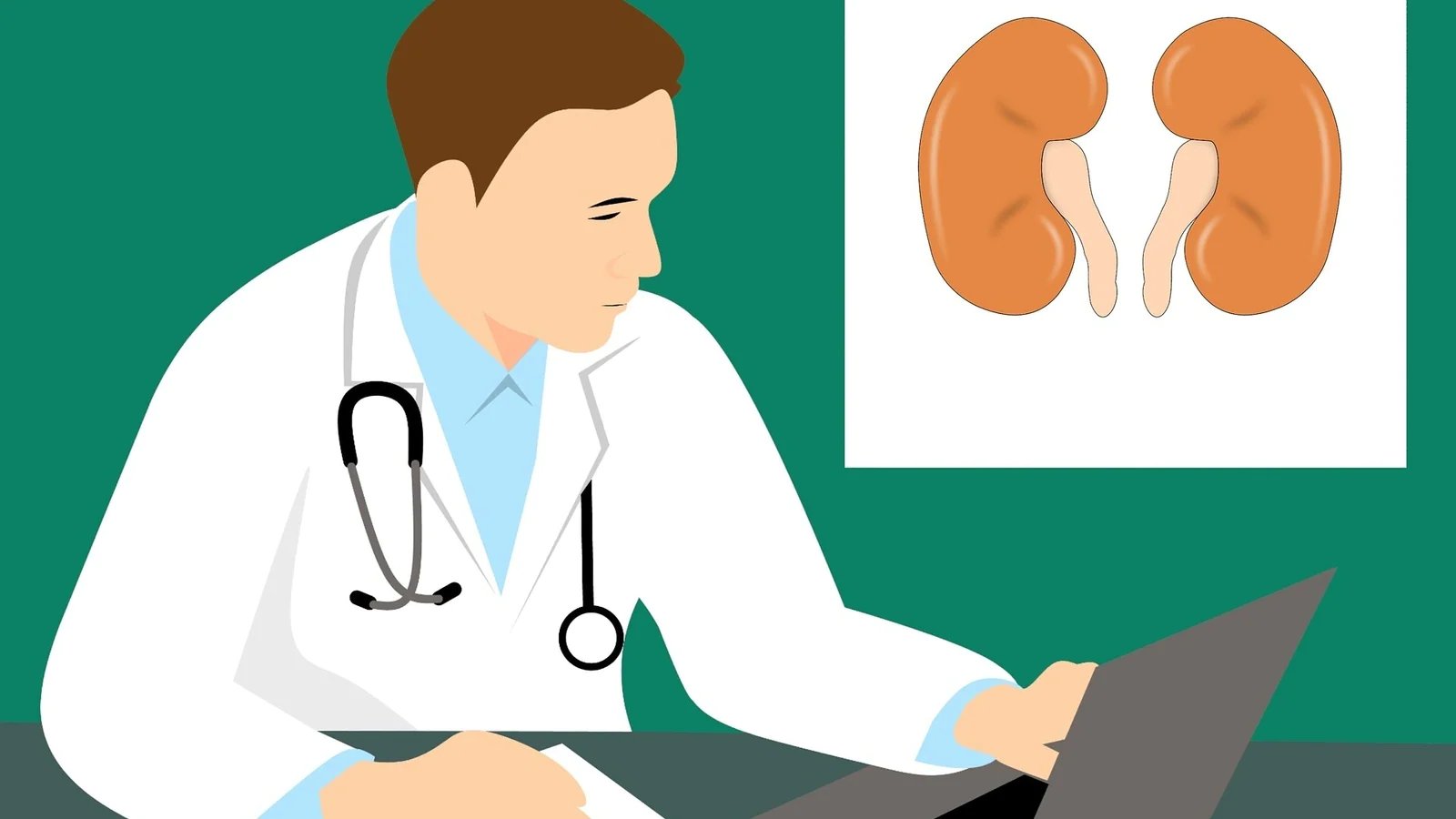 Doctors share simple tips to keep your kidneys healthy