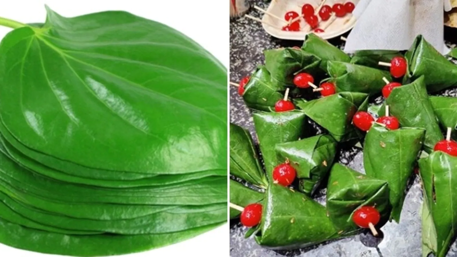 Wonderful benefits of paan or betel leaf as per Ayurveda; how to eat paan in summers