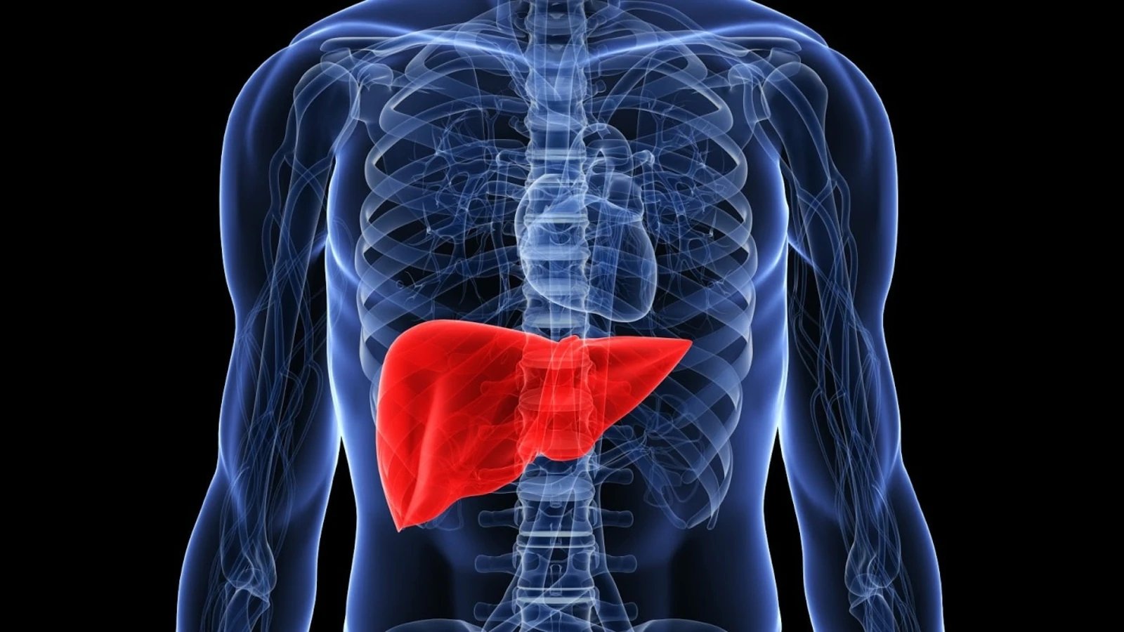 World Liver Day 2022: Naturopathic treatment for fatty liver diseases