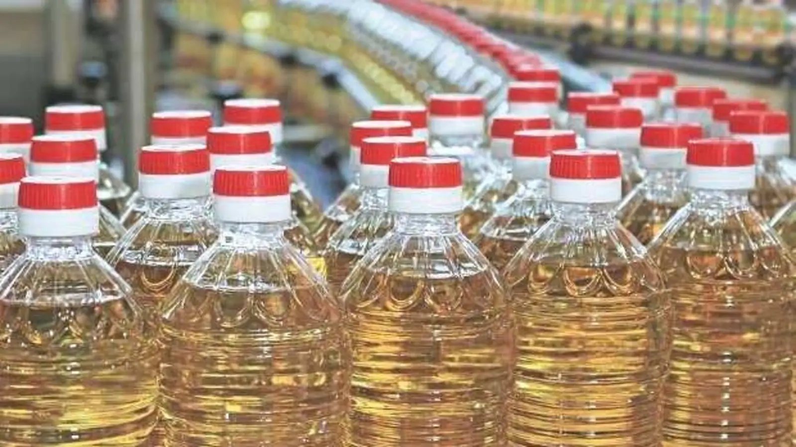 ‘Indian government must talk to Indonesia over palm oil ban,’ says edible oil industry body