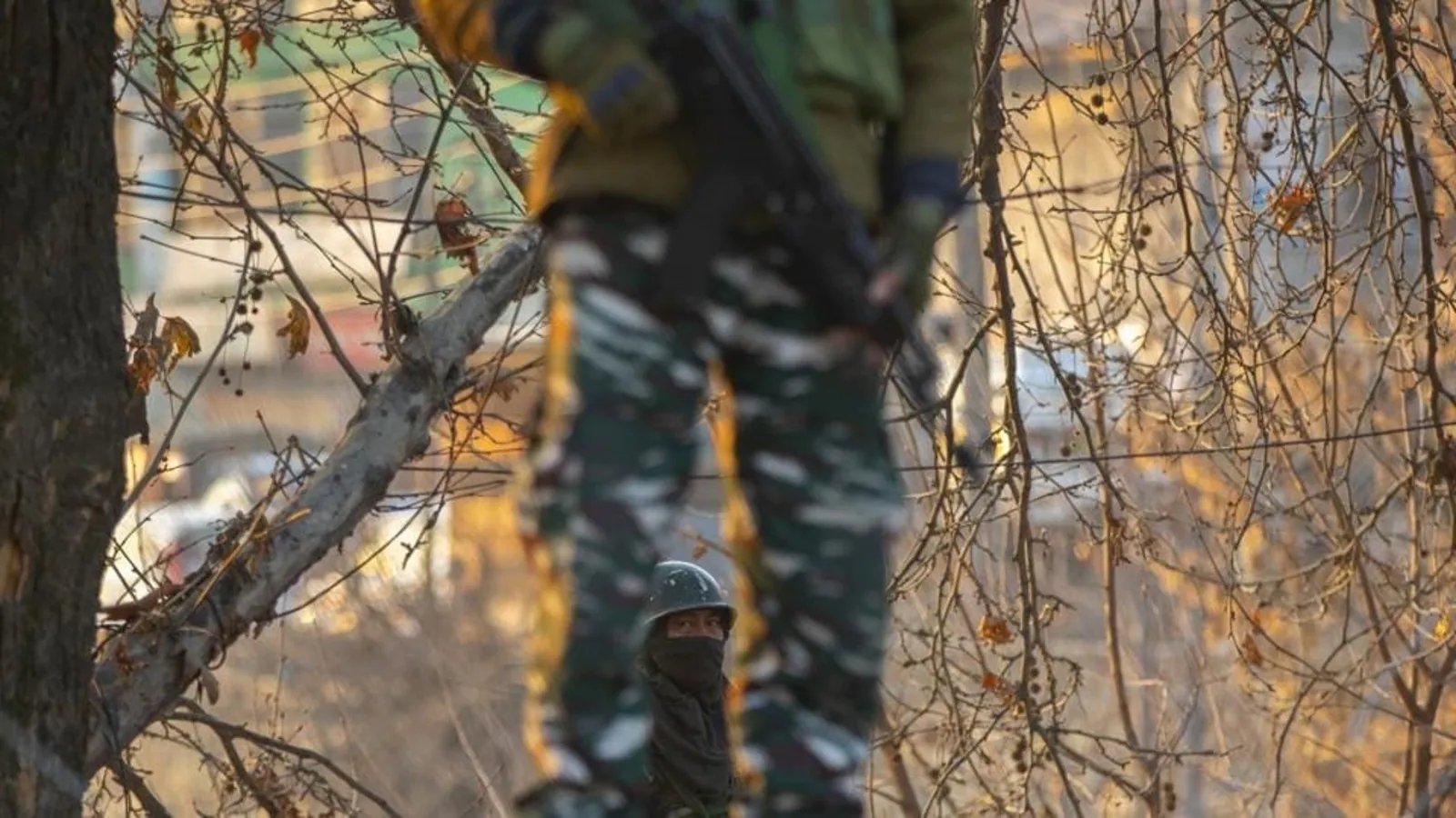 J&K: Pak terrorist among 2 Jaish-e-Mohammad operatives killed in encounter in Kulgam