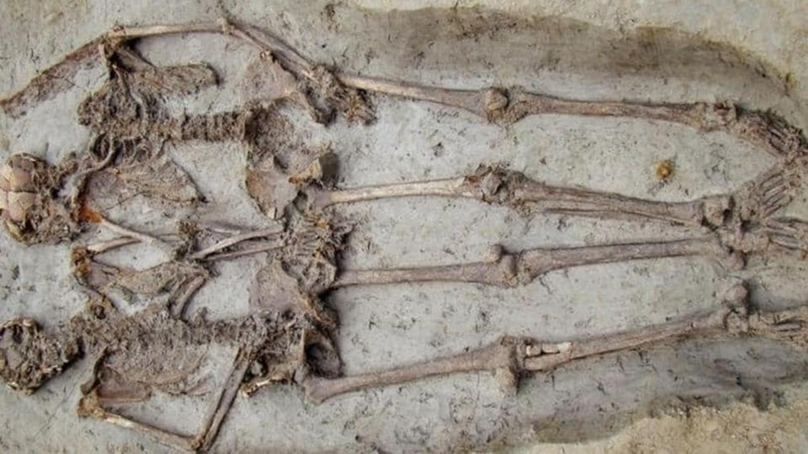 Skeletons found in Punjab those of Indian soldiers killed in 1857 revolt: Study