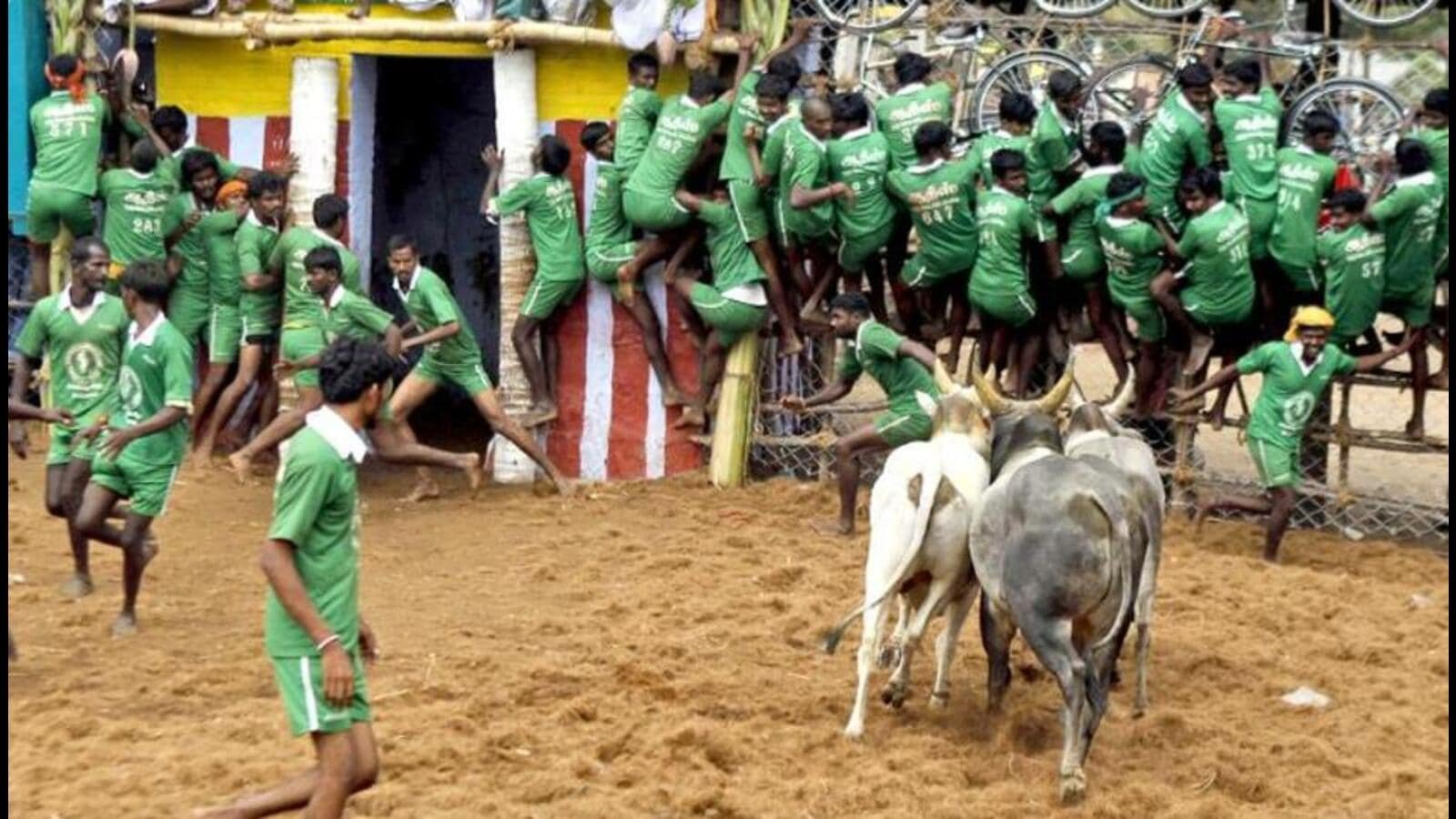 Tamil Nadu CM announces new stadium for Jallikattu
