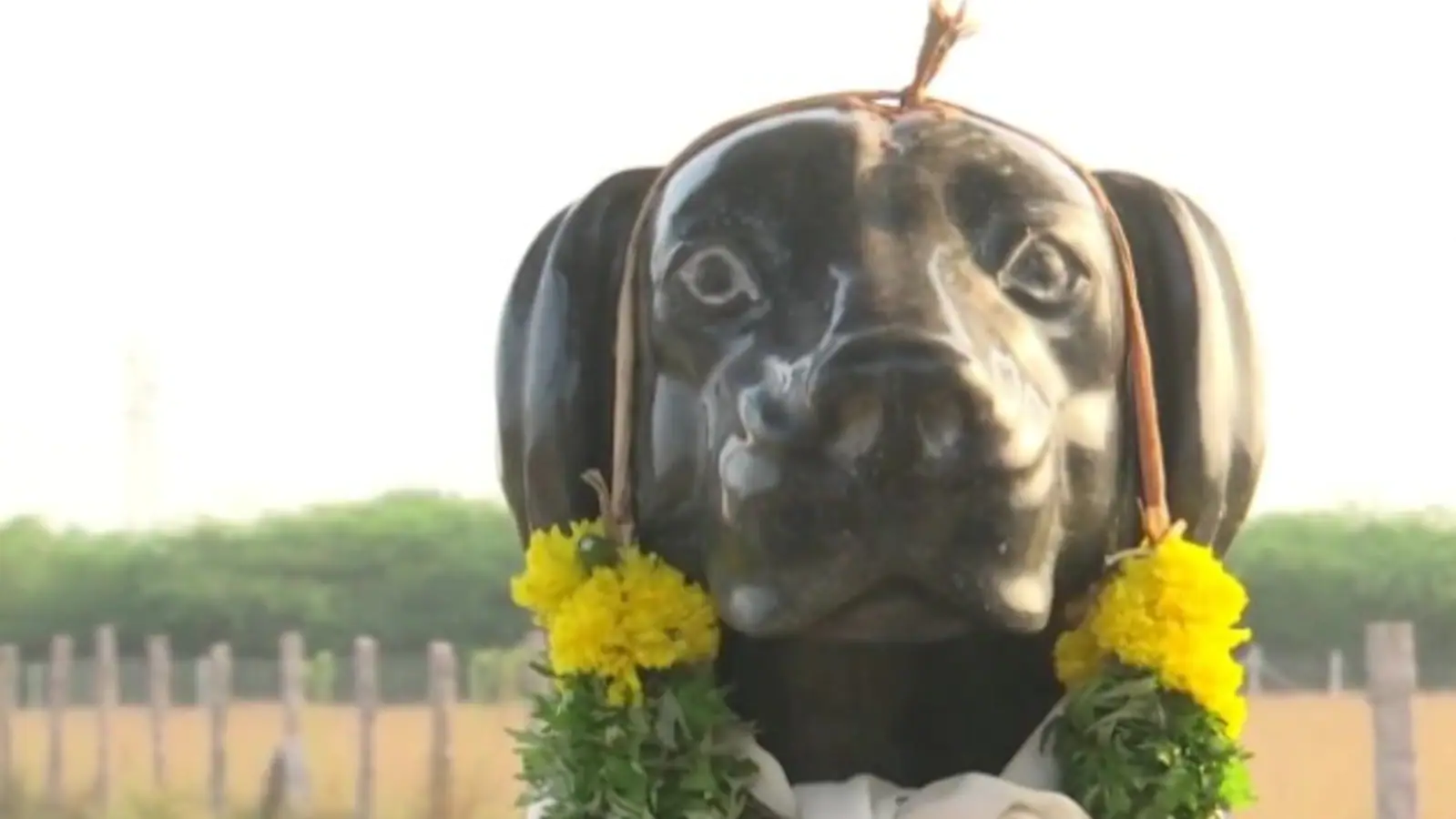 Tamil Nadu man spends ₹80,000 on marble statue to honour his dog