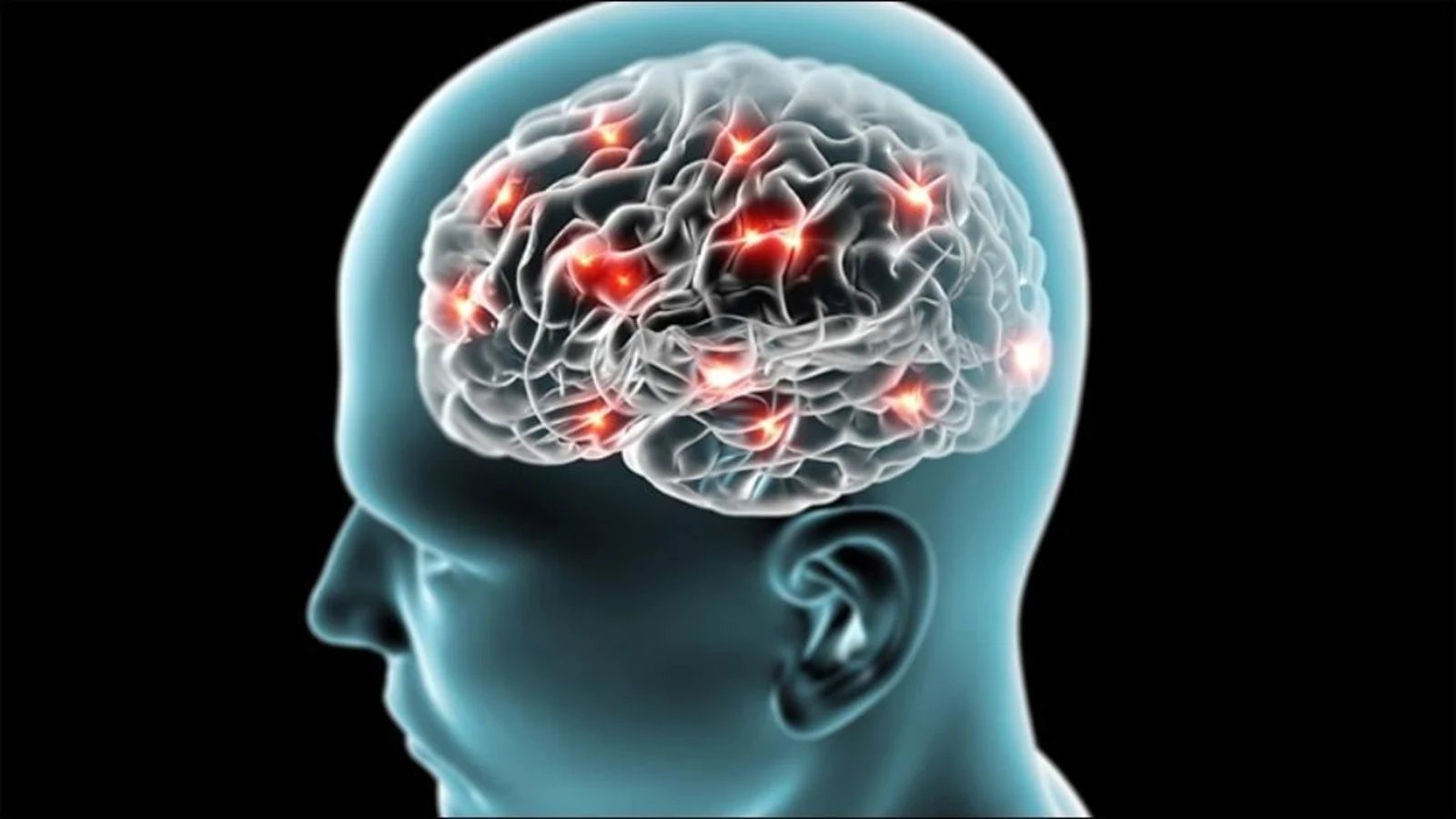 How to know if the nervous system is regulated? Expert offers insights