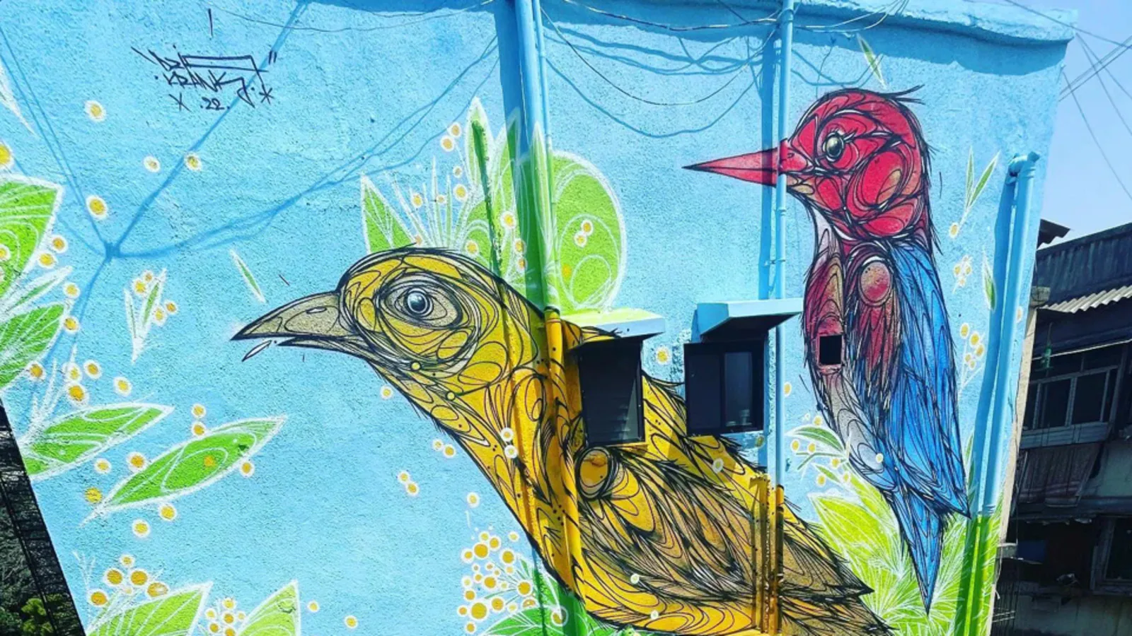 Mahim’s streets come alive with gigantic bird murals