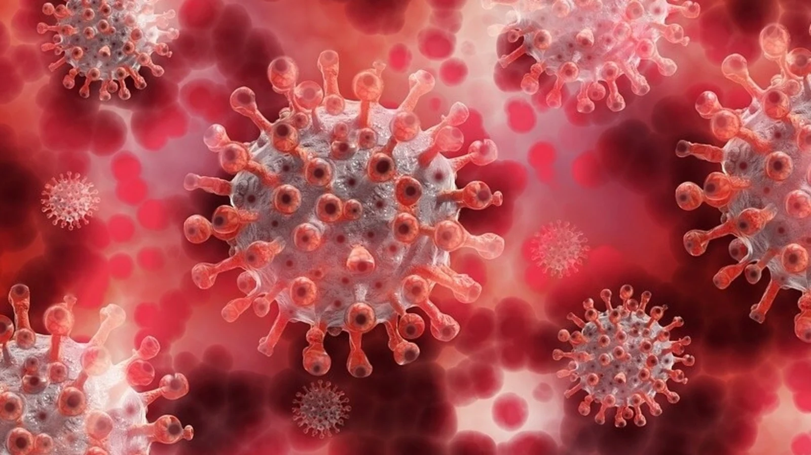 Covid-19 three times more lethal than influenza, study suggests