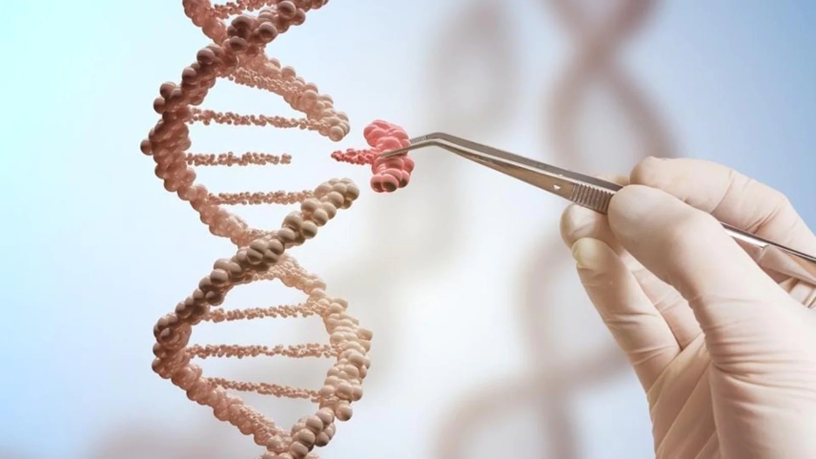 New intranasal and injectable gene therapy could prolong healthy life