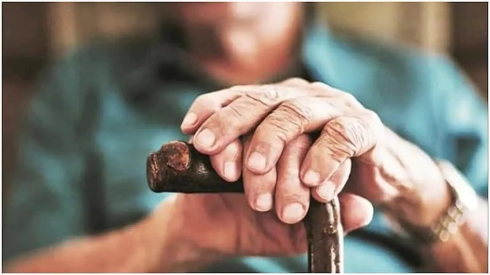 Better mobility in frail older people liked to regular exercise with dietary advice