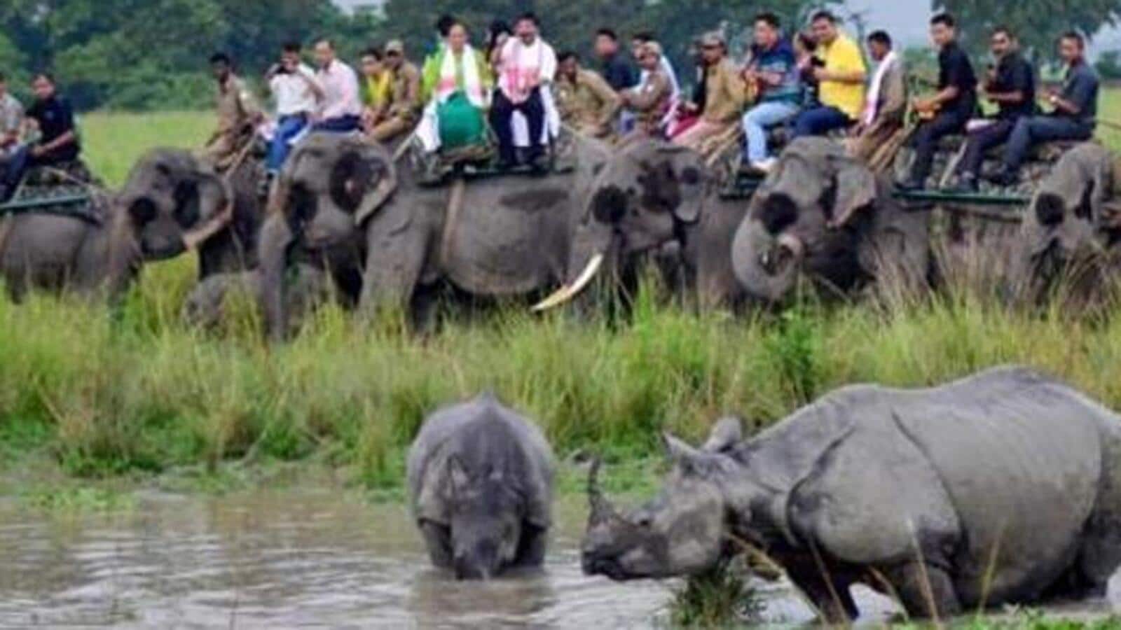 Conservation watchdog asks Assam to act on damage to wildlife corridors in Kaziranga