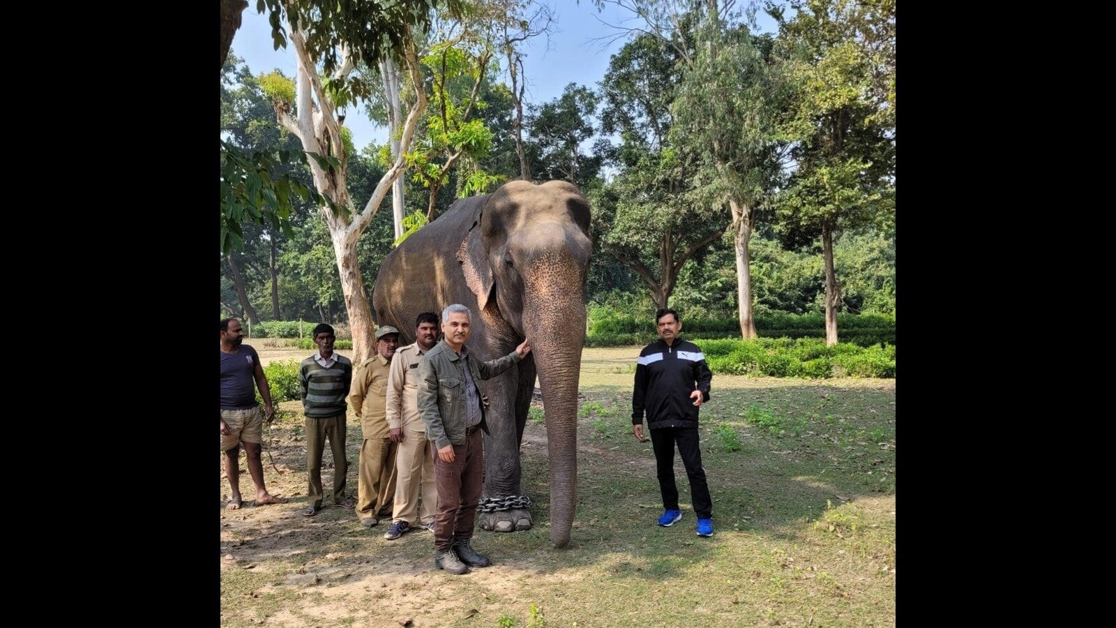 Dudhwa elephant dies of sudden illness
