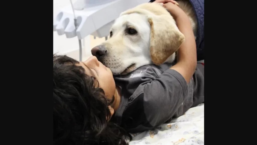 Ecuador’s ‘first’ dental assistant dog hugs kids to comfort them. See pics