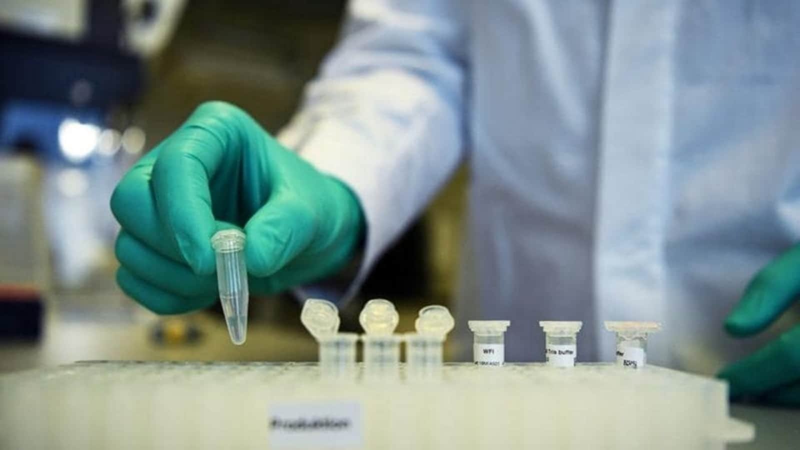 Glenmark Pharma Q4 net profit falls 26 per cent to ₹173 crore