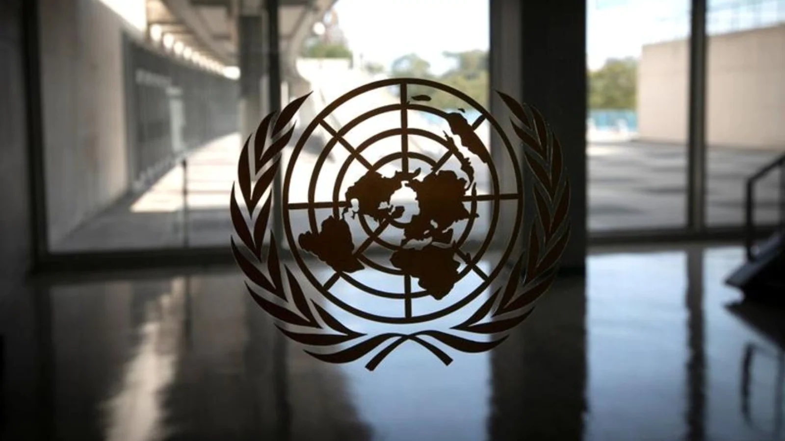 India calls for urgent reform of UN Security Council