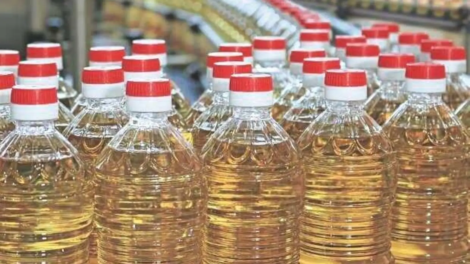 India has enough edible oil stock: Govt
