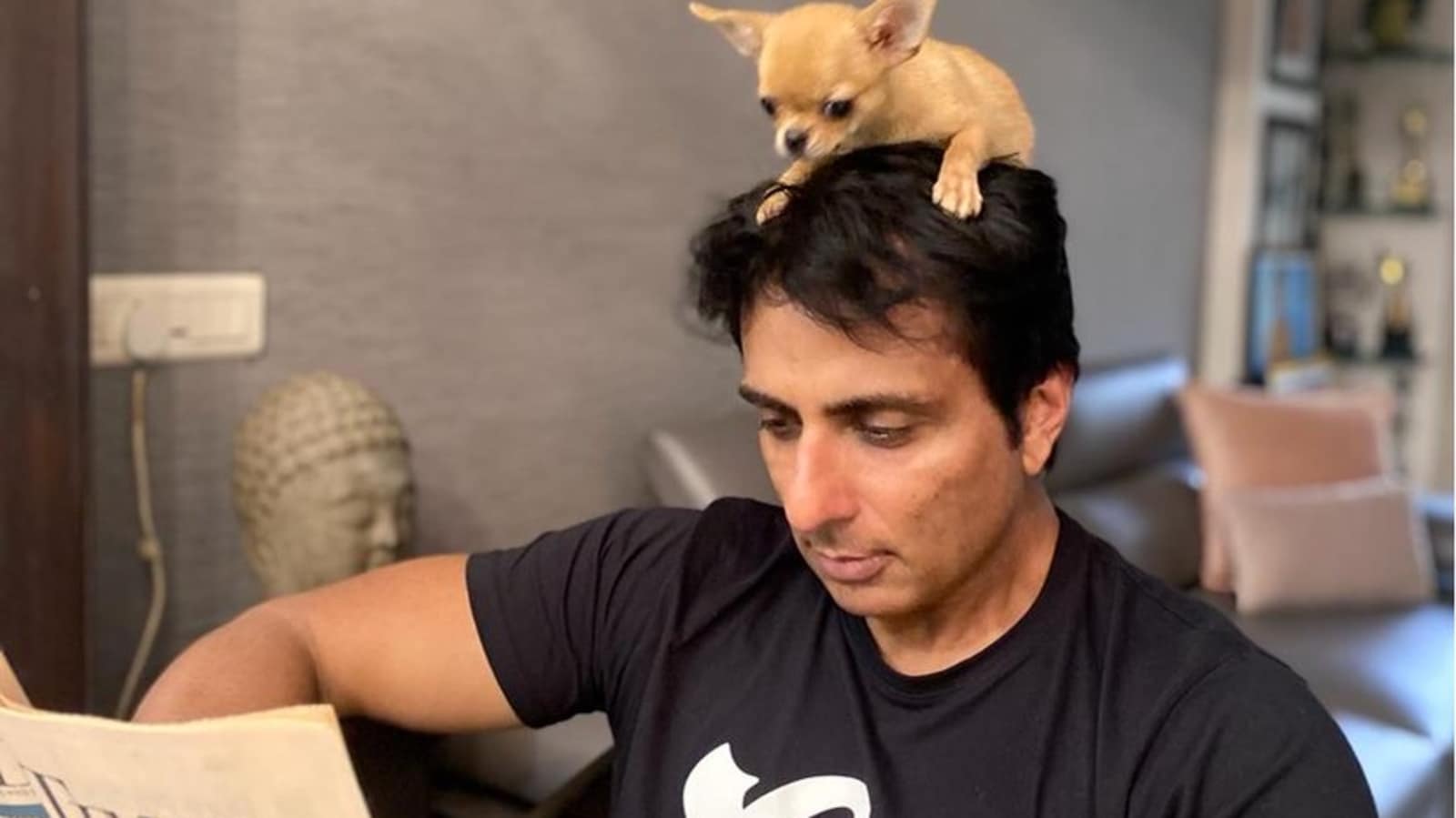 Sonu Sood shares his newspaper with adorable dog resting on his head, fans cannot handle the cute pic