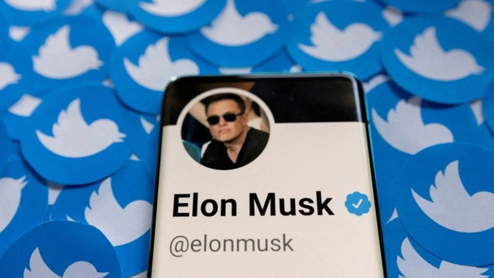 Twitter shares slump after Elon Musk says takeover on hold