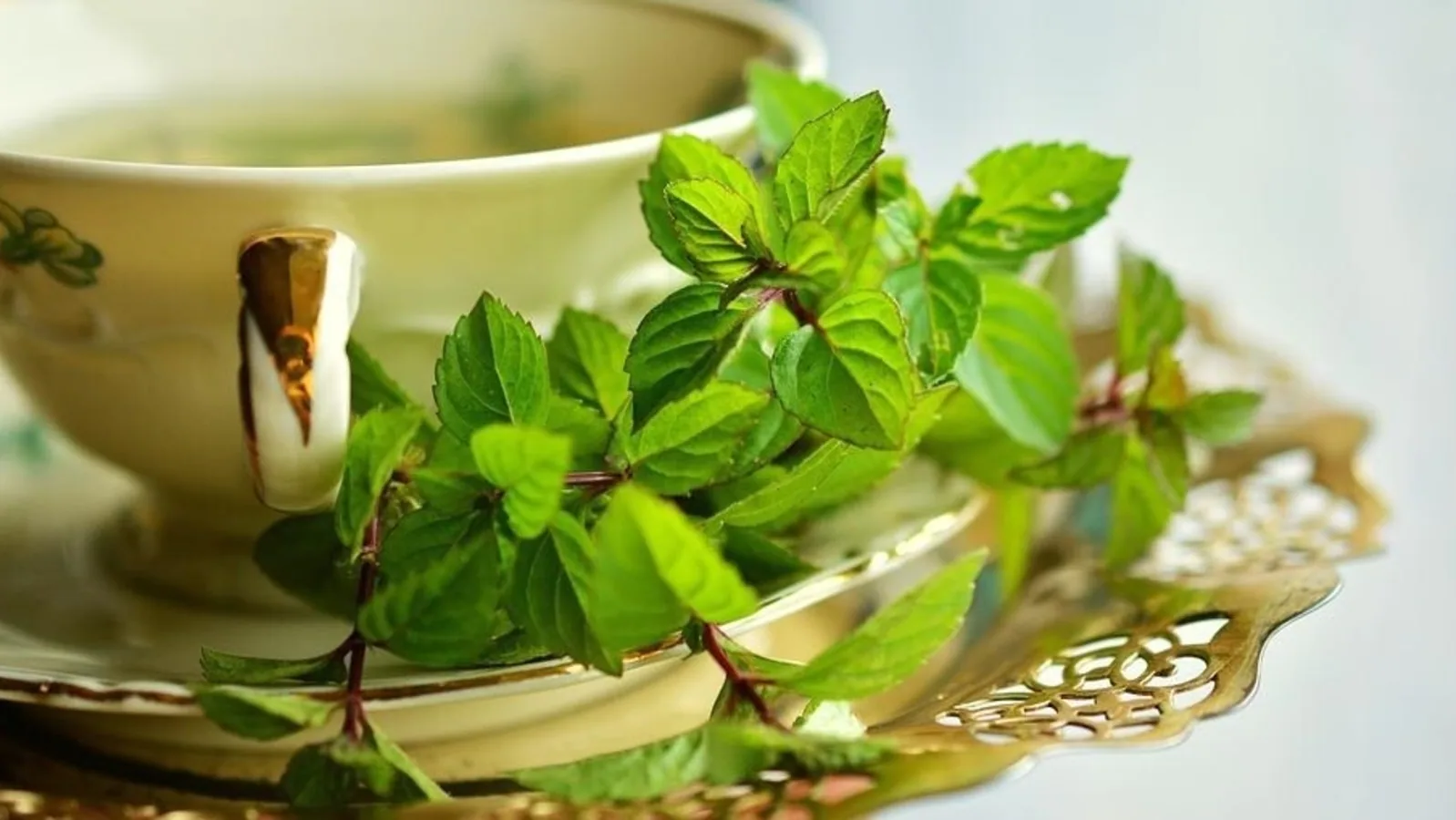Drink mint tea to beat acidity and summer lethargy; know all the health benefits