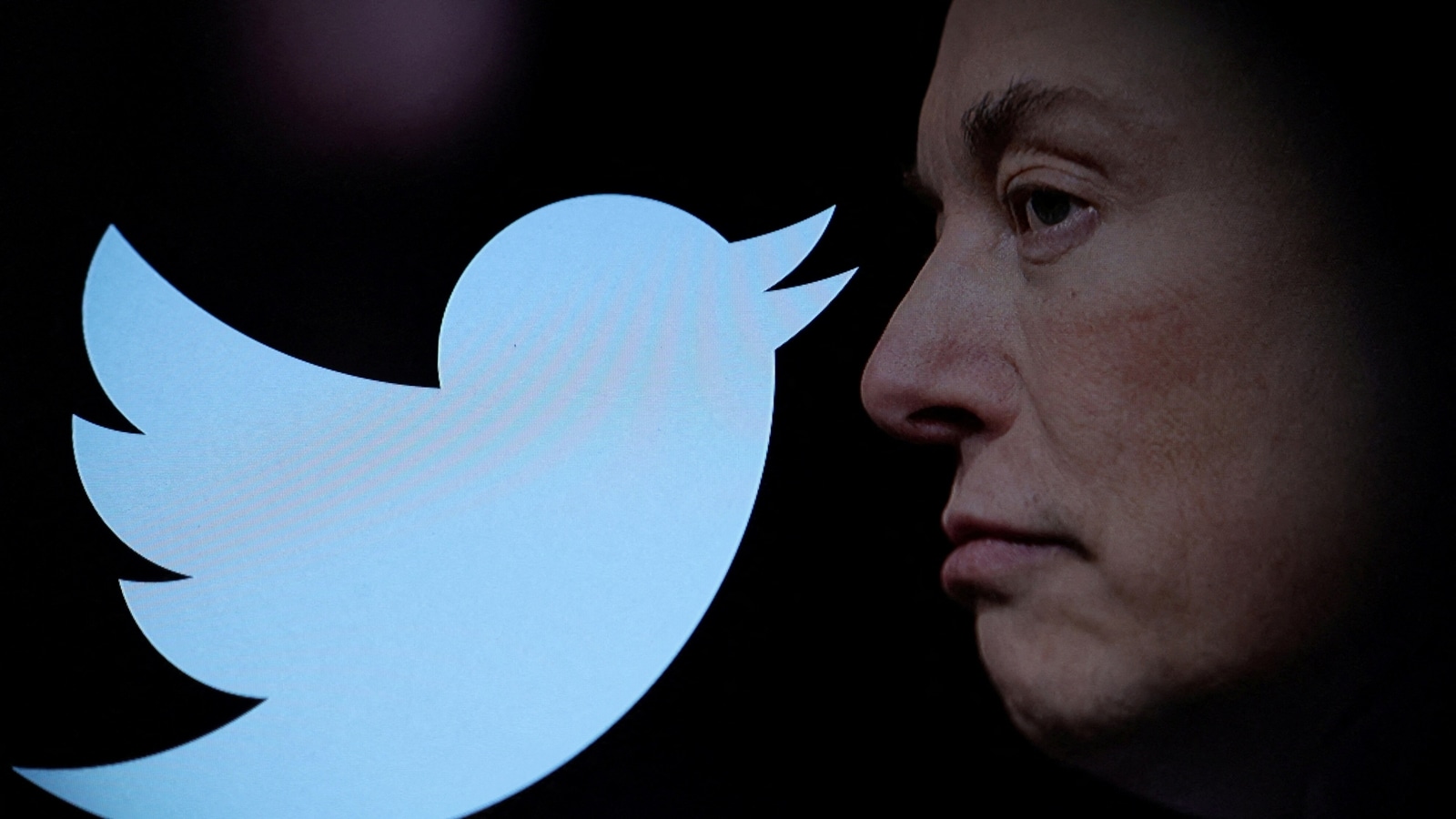 Elon Musk plans to assume Twitter CEO role, likely to do away with permanent bans