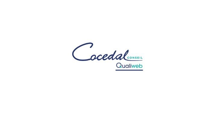Cocedal Conseil Elevates Research Standards With Decades of Experience and Strategic Thinking