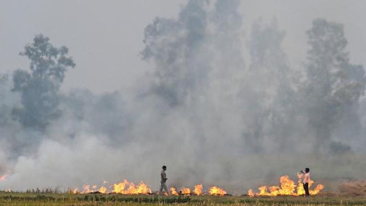 Supreme Court Cracks Down on Farm Fires: States Told to Enforce CAQM Orders or Face Consequences